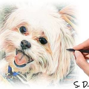 Meet your Posher, Susan